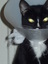 Profile Image for Clarissa.