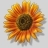 Profile Image for Katie.