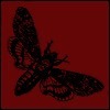 Profile Image for Mothwing.