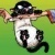 Profile Image for Steve.