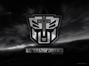 Profile Image for Timothy Bandi.