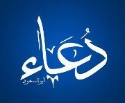 Profile Image for Doaa Aboelsoud.