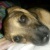 Profile Image for Jacqueline Cubillo.