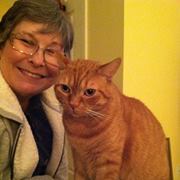 Profile Image for June Creedon.