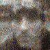 Profile Image for Ant.