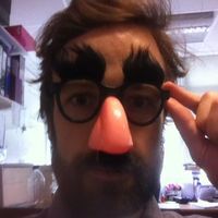 Profile Image for Brian Kelly.